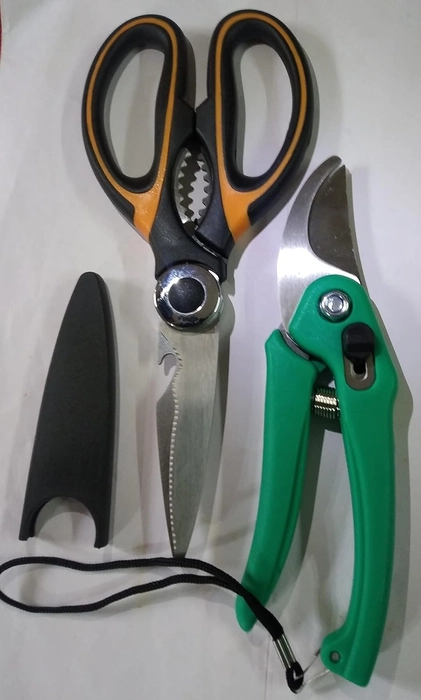 Evergreeness India Heavy duty Garden & Kitchen Scissor, Garden Cutter Tools (Set of 2)