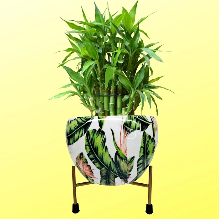 Evergreeness India Floral Print Decorative Metal Pot with Stand for Indoor Plants (White)