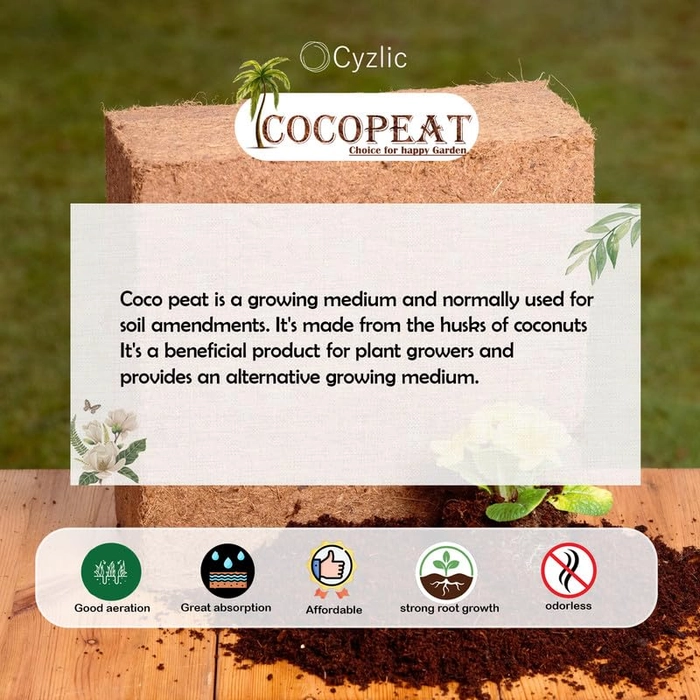 Evergreeness India Cocopeat for Gardening - 100% Natural Soil Amendment 5kg