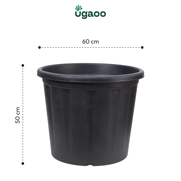 Evergreeness India Treated Large Plant Pots for Big Size Plants (24 inch Black Color Set of 3 Large Planters)