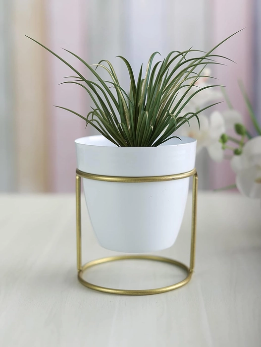 Evergreeness India Oval Metal Table Top Desk Pots Planter with Stand for Flowers Succulent Plants for Living Room, Indoor Plants