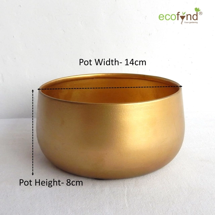 Evergreeness India Inch Zoe Metal Plant Pots, Indoor Small Planter Flower Pots with Drainage Hole, Home Garden Decor Planter for Living Room Bedroom Interior (Gold Finish, POT016)