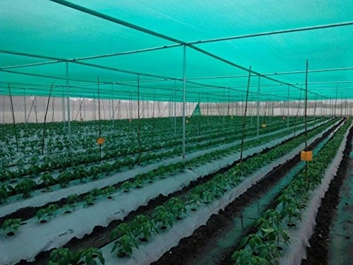 Evergreeness India Protection Green Shade Net, Gardening Net,UV Stabilized Agro Net 90% Shade (6x25 MTR(20 FT X 82 FT))