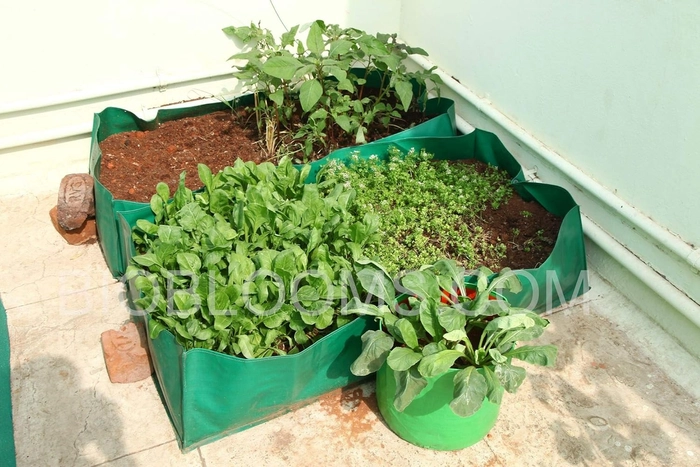 EverGreen India Agro India Pvt.Ltd. 48X24X12 Inches HDPE Rectangular Grow Bags for Terrace Gardening |1 Piece | Dark Green Color | Outdoor Use| 340 GSM
