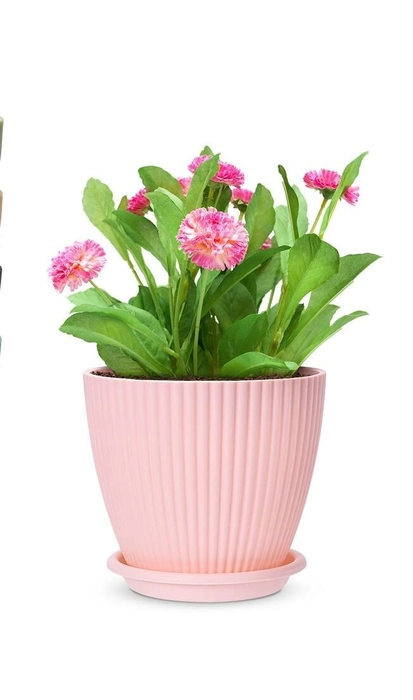 Evergreeness India Round Flower Pots for Home Planters, Terrace, Garden Etc | Pack of 04 | Suitable for Home Indoor & Outdoor Gardening Plants 6 inch (Pink)