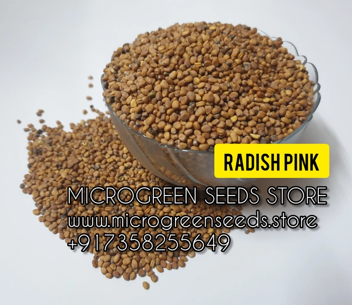 Radish Pink Microgreen Seeds