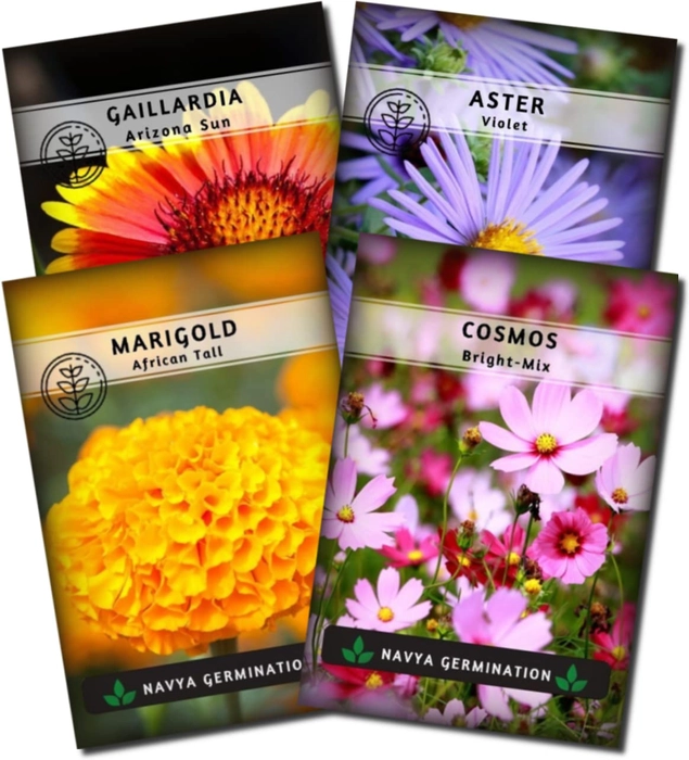 Buy Evergreeness India Garden Collection for Planting - 4 Packets ...