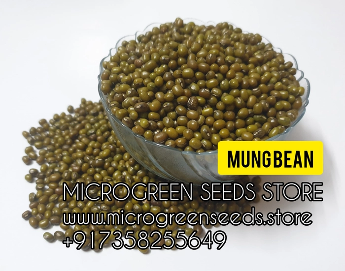 Mung Bean Microgreen Seeds