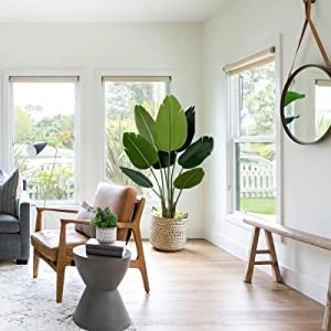 Evergreeness India 5.3 Feet Imported Natural Looking Real Touch Artificial Plant with Pot for Indoor,Home,Office,Living Room Decor (Artificial Plant, Traveller's Palm 5.3 FT)