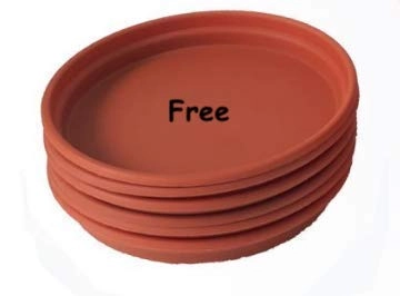 Evergreeness India Round Pots for Plants Big with Saucer Drainage Tray (Terracotta, 14 Inch, Pack of 3)