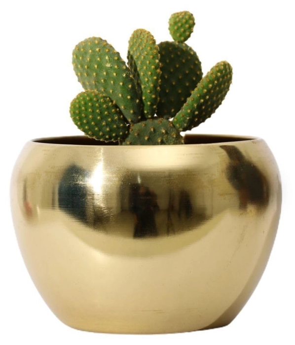 Evergreeness India Electroplated Plants Pots Designer Pots for Indoor/Outdoor Plants, Metal Plant Pots for Living Room, Balcony and Garden Decor (Plant not Included)