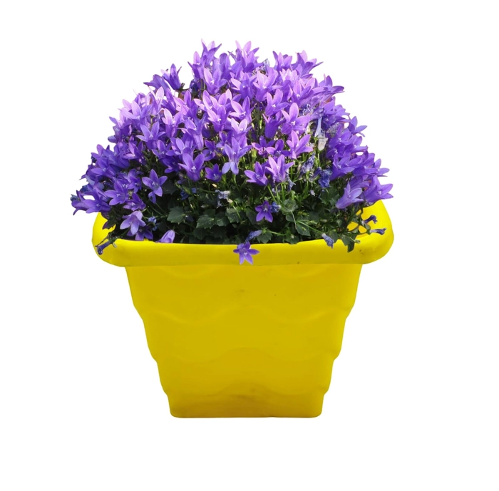 Evergreeness India Hanging Hook Flower Pot for Home Planters, Balcony, Garden, Terrace Etc | Pack of 4 | Multicolour | Ideal for Home Indoor & Outdoor Gardening Plants