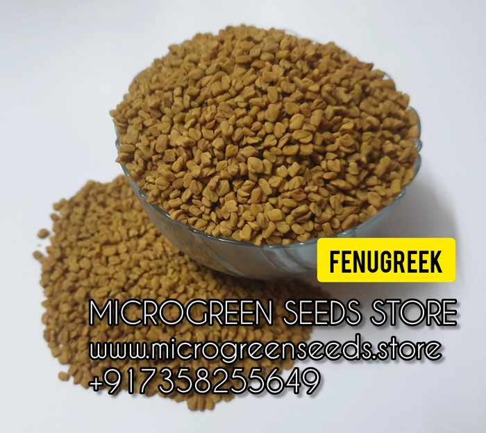 Fenugreek Microgreen Seeds