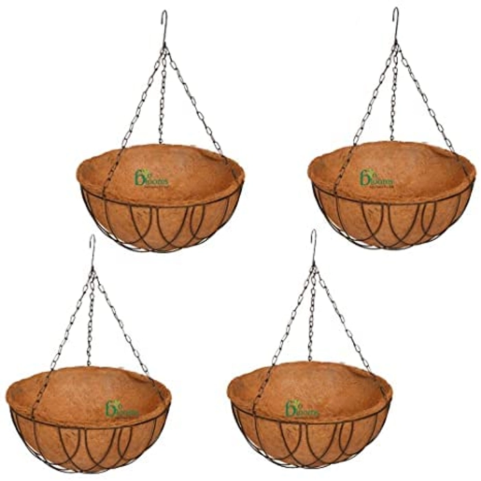 Evergreeness India Coir Hanging (Liner and Metal Basket with Chain) Pack of 5 (10 Inch)