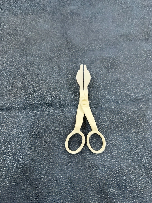 Silver Plastic Cake Decorating Scissors Divya