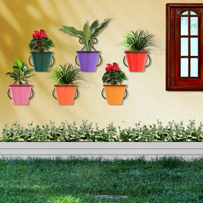 Evergreeness India Wall Mounting Planters with Stands (Set of 6) -Wall Hanging Pot Stand,Indoor/Outdoor Use,Home Decor/Garden Decor,Balcony Hanging,Office use with Multi-Color Pots