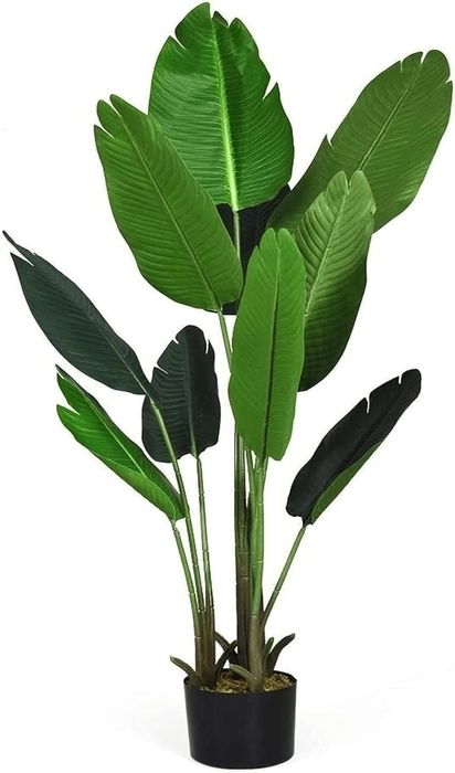 Evergreeness India 5.3 Feet Imported Natural Looking Real Touch Artificial Plant with Pot for Indoor,Home,Office,Living Room Decor (Artificial Plant, Traveller's Palm 5.3 FT)