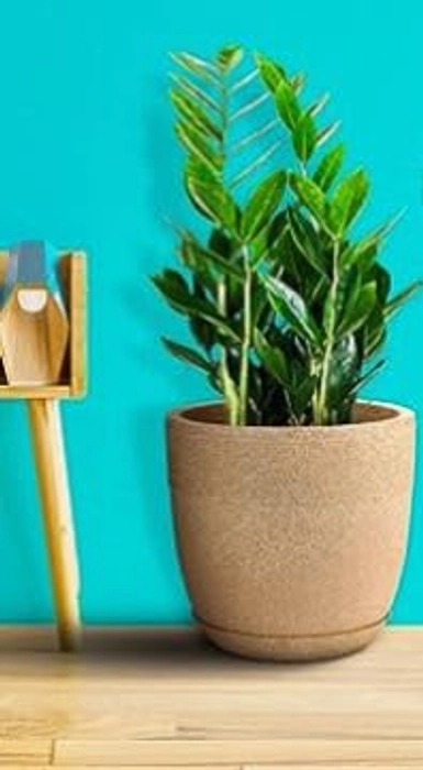 Evergreeness India DECORA Cool Fiber Marble Look Roto Moulding Flower Pot with Bottom Tray Suitable for Home and Garden (Beige/Sand Stone) (10 INCHES)