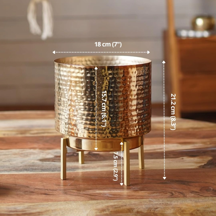 Evergreeness India Metal Indoor Planter for Table Top and Floor | Living Room Drawing Room Balcony Office | Decoration Ideas for Plants |Size Medium Golden Colour (Plants not Included)