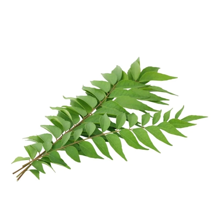Curry Leaves | Kadi Patta