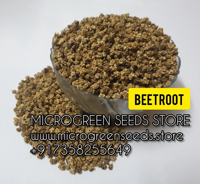 Beetroot Microgreen Seeds