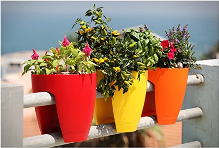 Evergreeness India Plastic Railing Flower Pot, Multicolour, 12-Inch, Set of 3