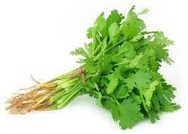 Evergreeness India Seeds for Home Gardening (2000 Seeds Packe) | Leafy Winter Vegetable Seeds for Home Garden | Fresh Vegetables Seeds for Kitchen | Organic Dhania Leaves Seeds