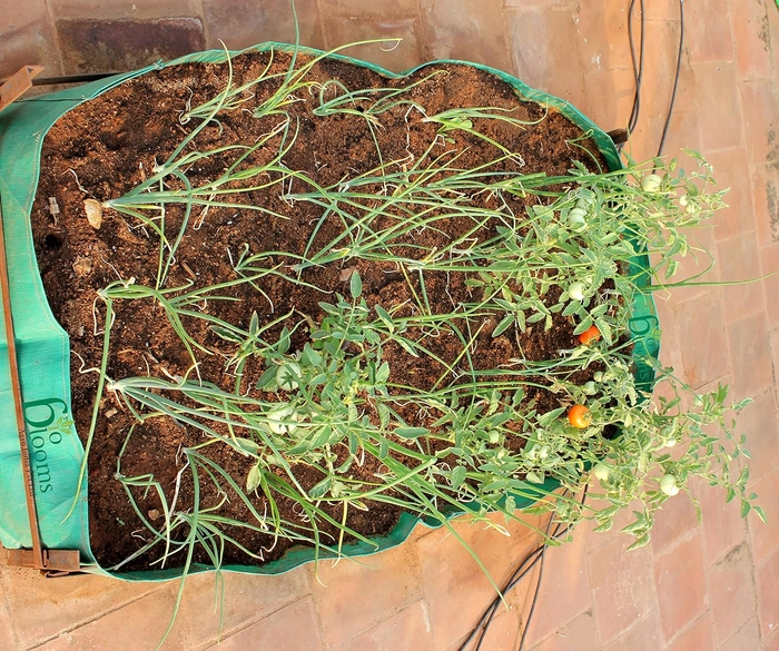 EverGreen India Agro India Pvt.Ltd. 48X24X12 Inches HDPE Rectangular Grow Bags for Terrace Gardening |1 Piece | Dark Green Color | Outdoor Use| 340 GSM