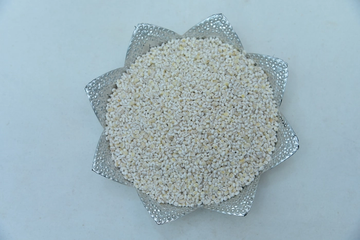 Barley Seeds