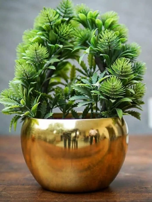 Evergreeness India Electroplated Plants Pots Designer Pots for Indoor/Outdoor Plants, Metal Plant Pots for Living Room, Balcony and Garden Decor (Plant not Included)