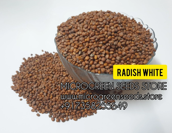 Radish White Microgreen Seeds