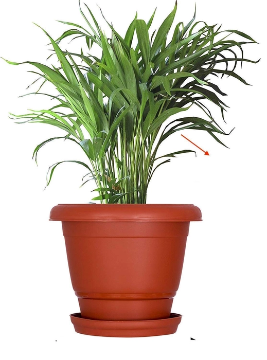 Evergreeness India Round Pots for Plants Big with Saucer Drainage Tray (Terracotta, 14 Inch, Pack of 3)