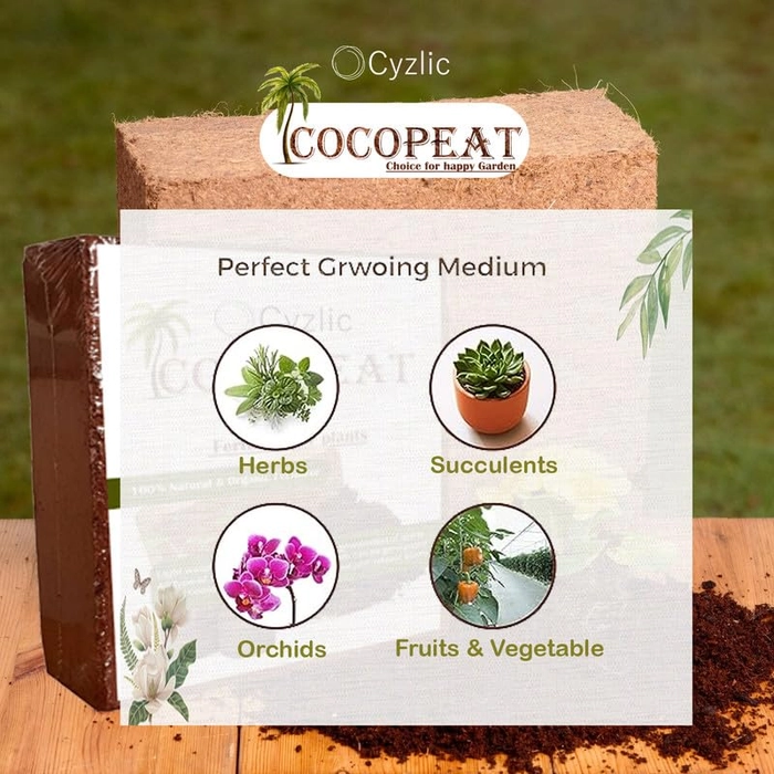 Evergreeness India Cocopeat for Gardening - 100% Natural Soil Amendment 5kg