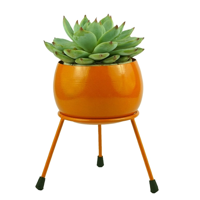 Evergreeness India Metal Pots and Planters for Living Room| Eco Friendly Indoor Plant Stand, Flower Pot for Garden Plants, Office Desk, Bedroom| Planter for Cacti & Succulents - Orange