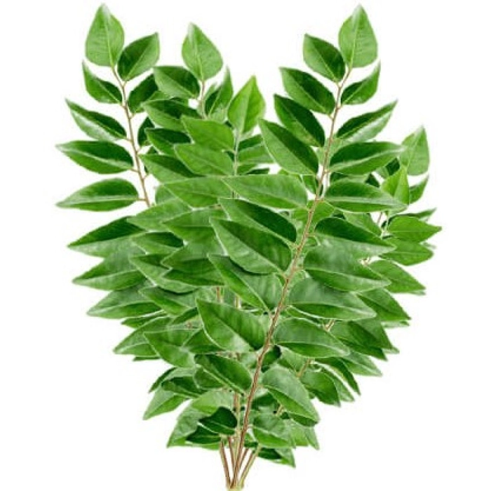 Curry Leaves | Kadi Patta