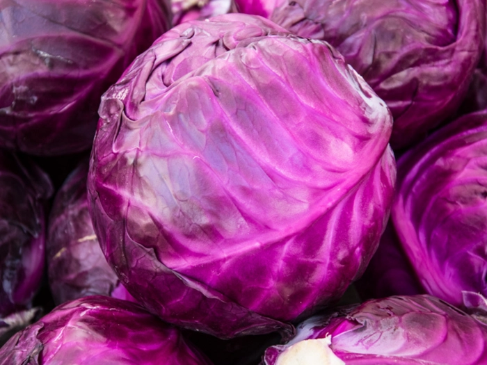 Cabbage - Purple