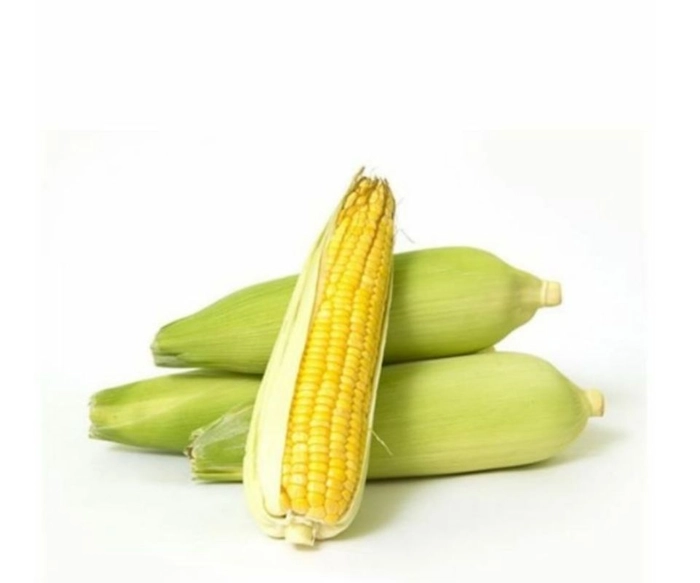 Corn, Makai