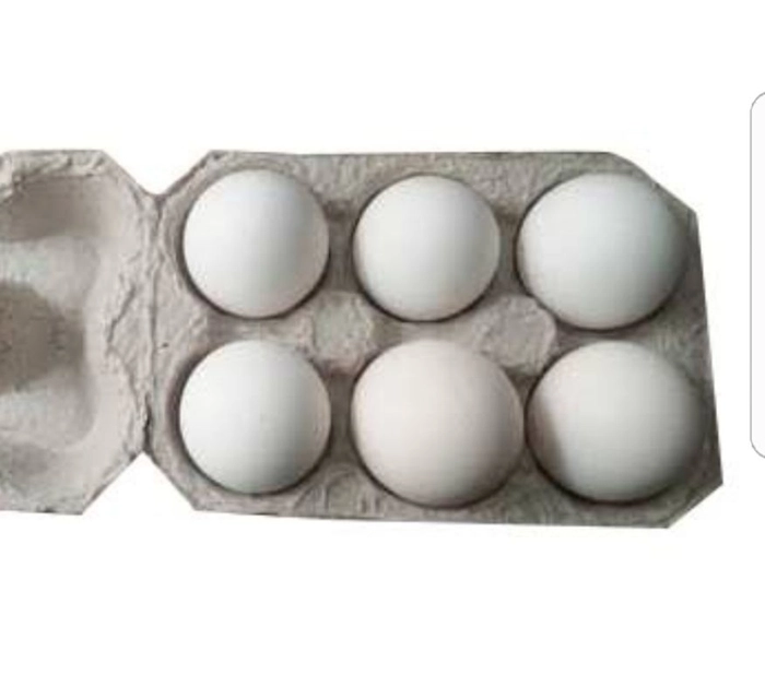 Eggs Pack Of 6