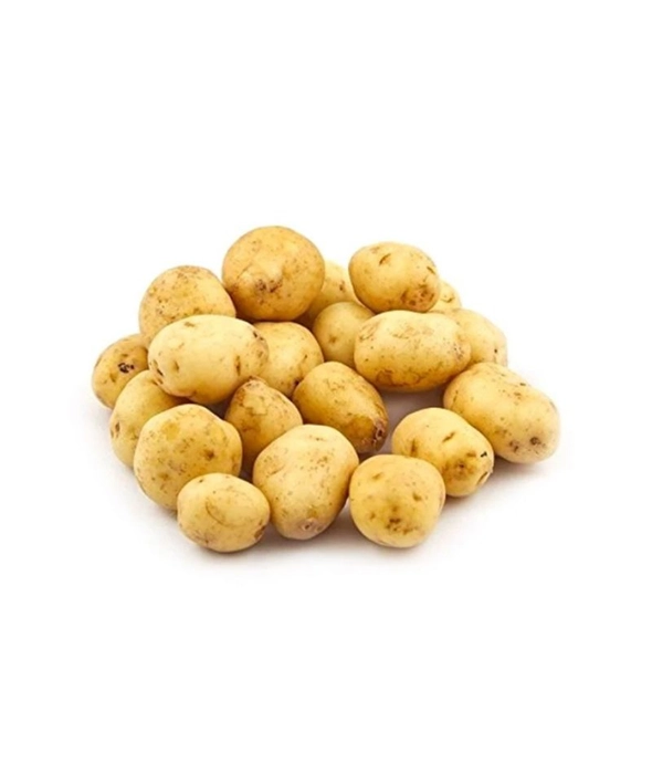 Potato/ఆలుగడ్డ