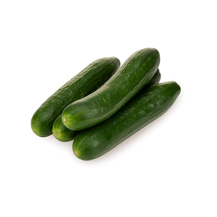 American Cucumber - Kakdi