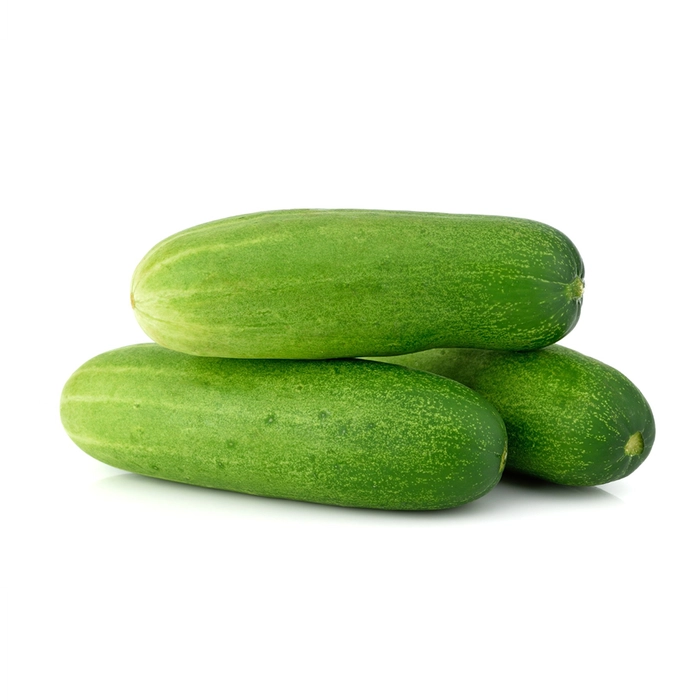 Cucumber ( కీ ర దోసకాయ)