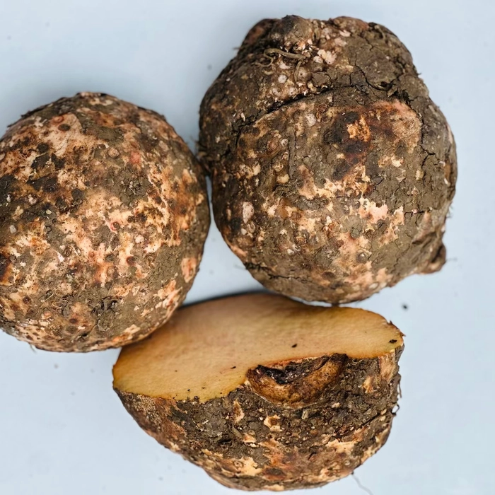 Yam | सुरण