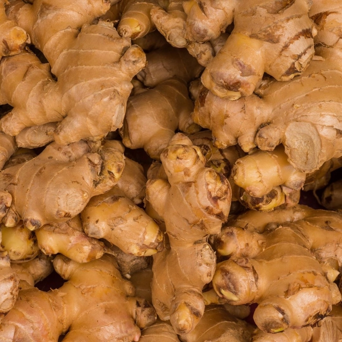 Ginger | आले