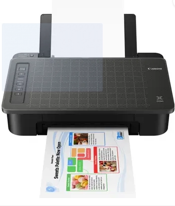 Canon PIXMA TS307 Single Function WiFi Color Inkjet Printer  (Ink Cartridge)