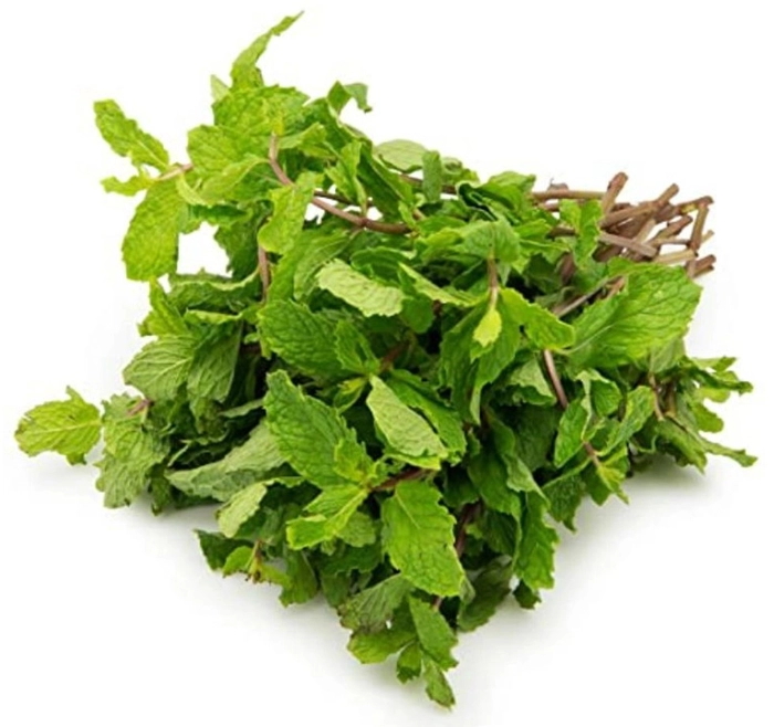 Mint Leaves Local (Pudina Natu)