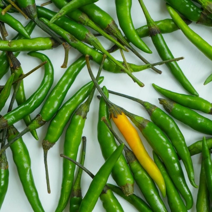 Green Chilies Spicy | तिखट हिरव्या मिरच्या