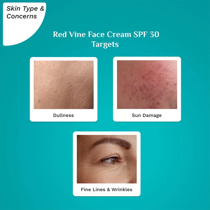 Red Vine Face Cream SPF 30 with Vitamin C & Rosehip Oil (PA+++)