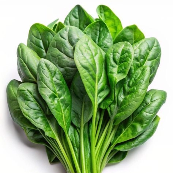 Spinach | पालक