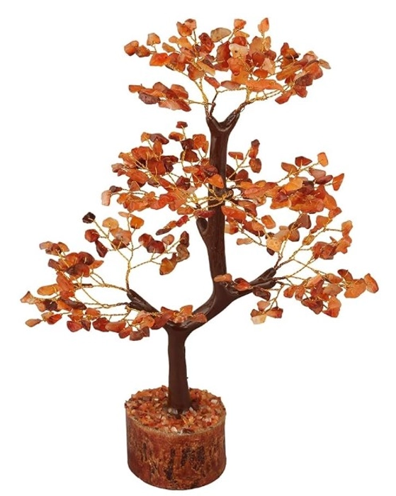 RED CARNELIAN TREE