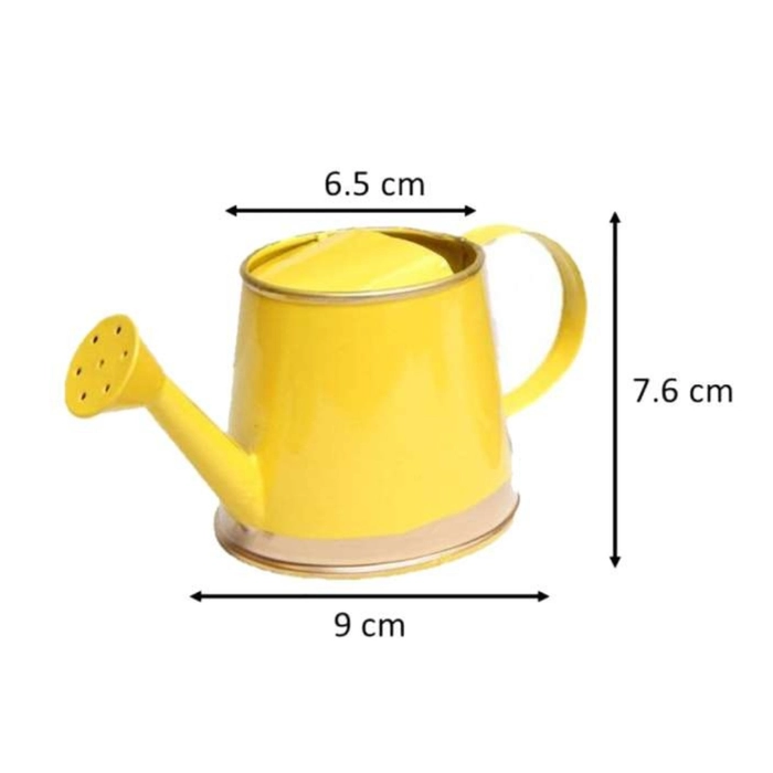 Mini Watering Can - 250 ml